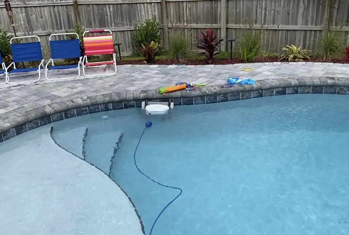 Is Dog Hair Bad for Pools? Tips to Save Thousands in Repair Costs