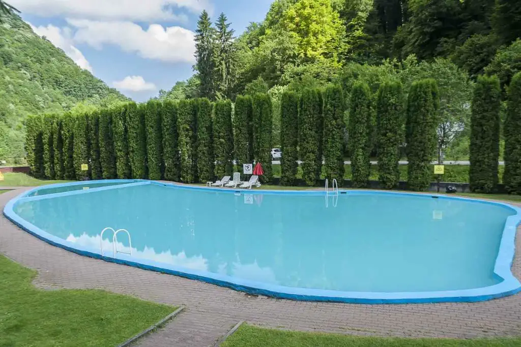 Trees aren't the only thing that can damage pool structures