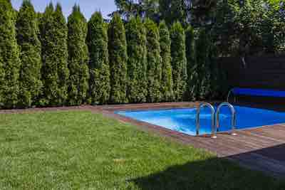 Green grass and trees next to swimming pool on terrace during summer. Real photo