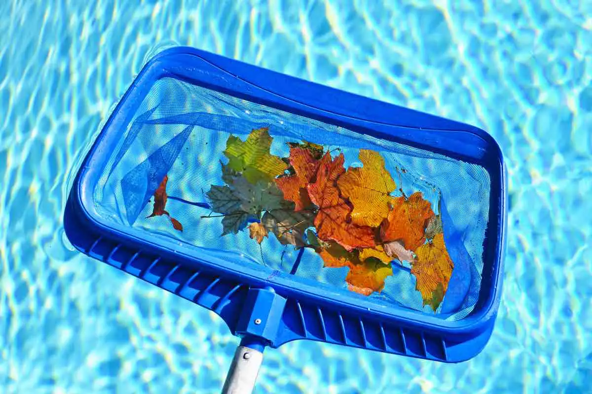 how-to-remove-leaf-stains-from-vinyl-pool-liners