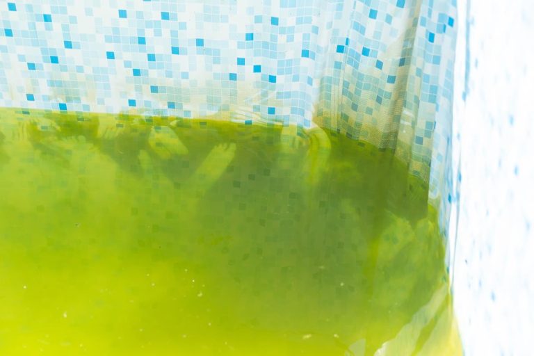 How To Get Rid of Black Mold on Pavers Around a Pool